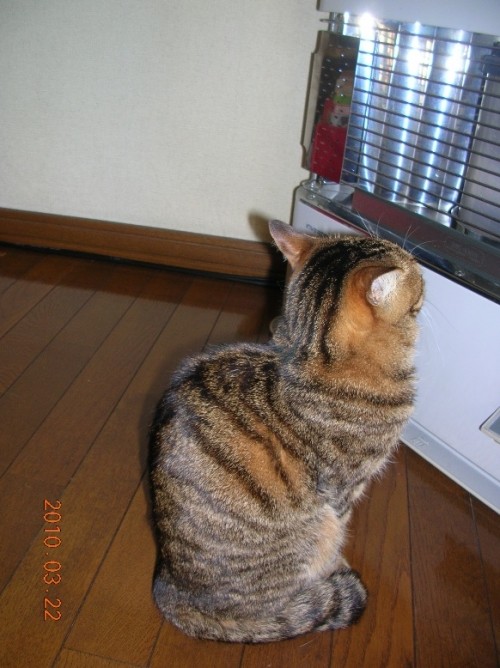 あったかい様で寒かった！！