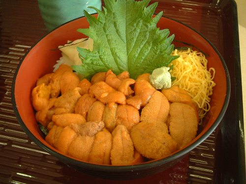 明日まで!うに丼880円!