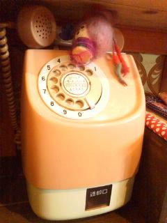 ウララちゃん写真館。