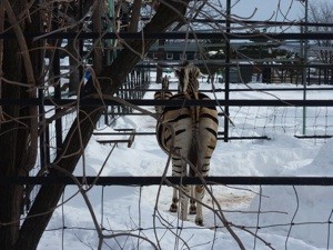 その視線の先はなんですか?