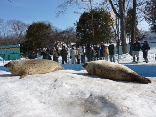 アイヌ語で動物園かんさつ