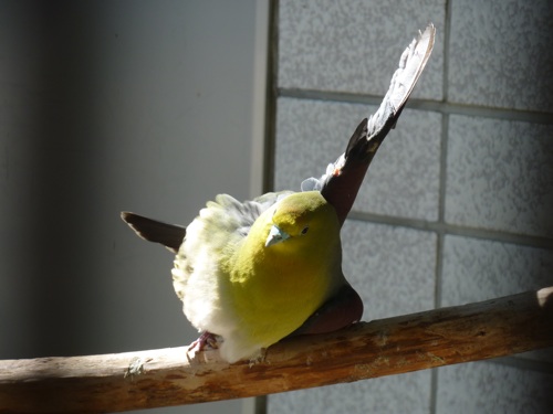 お天気がよいと・・・