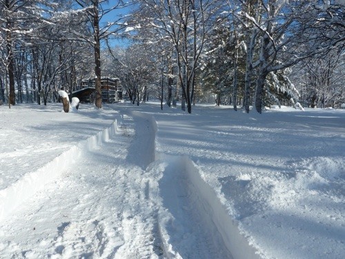 久々のドカ雪