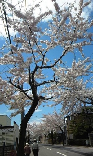 函館は晴れ!