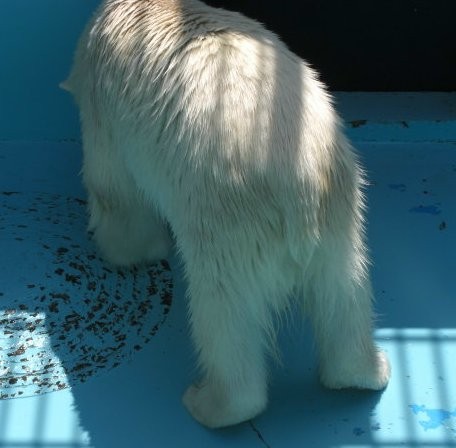 週末ドライブと動物園2
