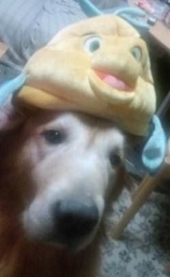77777♪