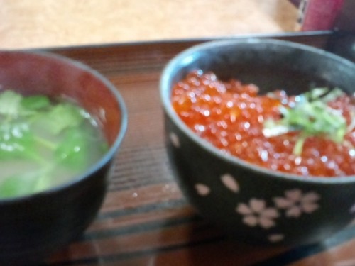 グルメ観光編・・苫小牧→札幌