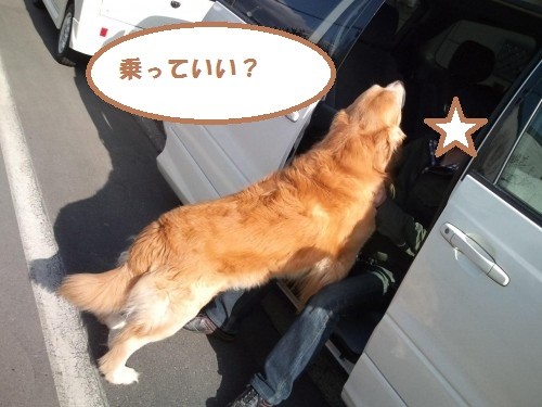 春を探しに・・・やっぱり温泉?