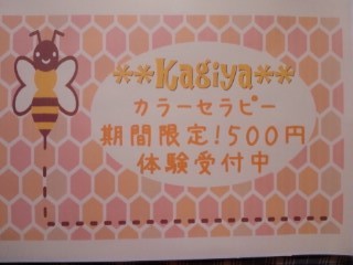 明日のご予定は?o(*⌒―⌒*)o