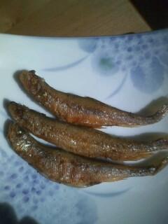 久しぶりだよ～byToKo