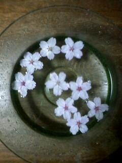 6周年感謝セール終了～♪