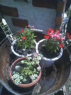 え～ 聞いてないよ～★