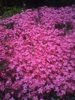 結婚記念日だよ～♪