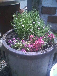 天気が良いので♪