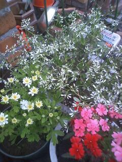 やっぱり良いね～♪