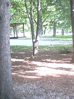 うわ～！たくさ～ん♪