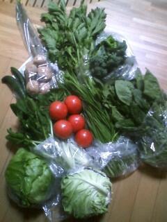 野菜たくさ～ん♪でもToKoToKoは野菜屋さんじゃないよ～★