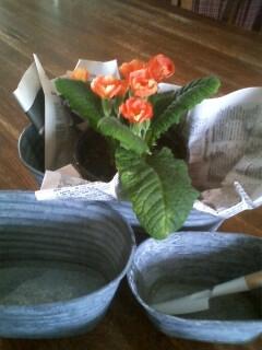 今日から7月ですね～♪