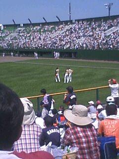 ミーハーな私♪