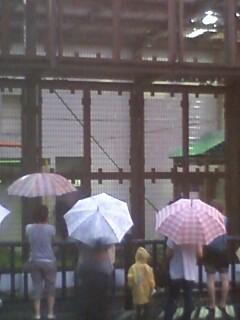 さて ここはどこでしょう？