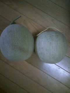 メロンが冷蔵庫に入らない★