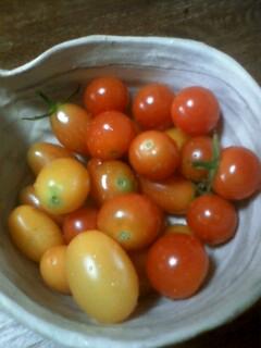 雑草も夏休み取って欲しい～(笑)★