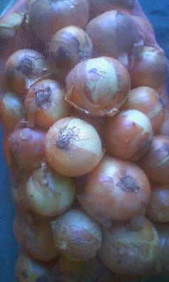 簡単！玉ねぎ料理～♪料理じゃないかも(笑)