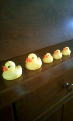 イベントの予告の予告♪マイとかち限定♪