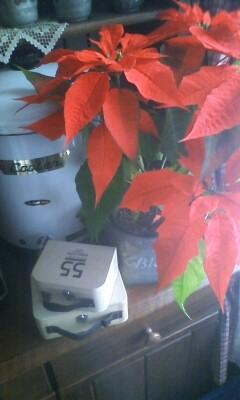 忘年会★また失敗の巻(笑)♪