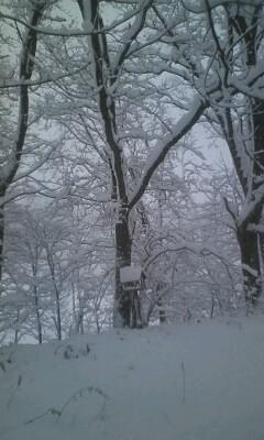 今年最後の営業日★大雪だ～！