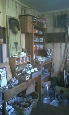 ぼちぼちとオープンしてます♪