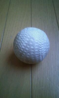 亡父へ★いよいよ始まりますよ～！「野球編」