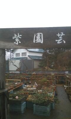 雨の日だって 楽しいドライブ♪紫園芸さん♪