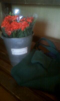 母の日★ありきたりですがカーネーション♪