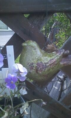 あっ、鳥だ！(笑)