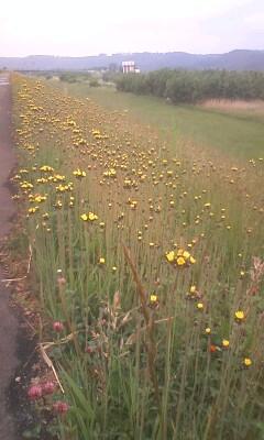 今日は定休日ですが忙しい~!