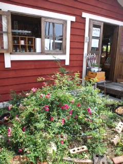 ニコニコ♪二本★あと二日(笑)★