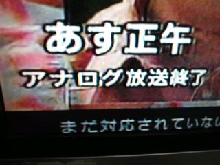 音更の虎豚(ことん)さんへ♪アナログ放送終了いよいよ明日★