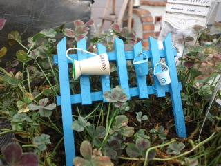 可愛い～♪幸せ～(*^o^*)