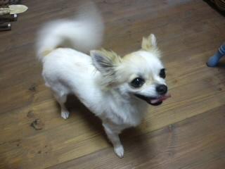 可愛い～♪の追加(笑)