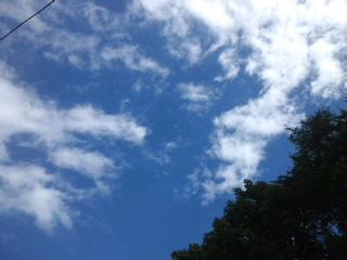 久々の十勝晴れ~★と入荷商品☆