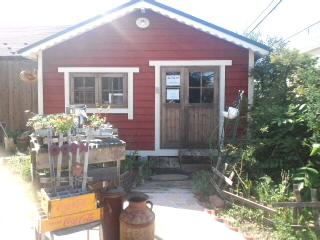 今日は中間休業★