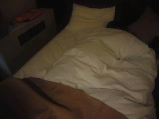 あなた～起きて～(笑)と家族が増えました♪