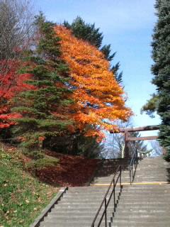 秋～冬へ♪今年も後残すところ…★