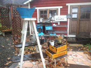 師走じゃないのにあっちこっちε=ε=┏( ・_・)┛