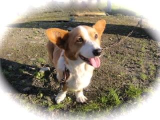 足寄からもありがとう～♪