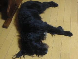 寒い冬には足元暖か~く♪