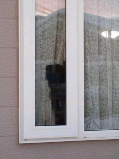 何やら黒い影が…(笑)