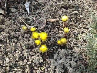 委託作家さんの商品も続々入荷~♪