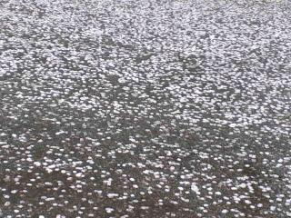 寒いけど、これ食べて頑張る♪